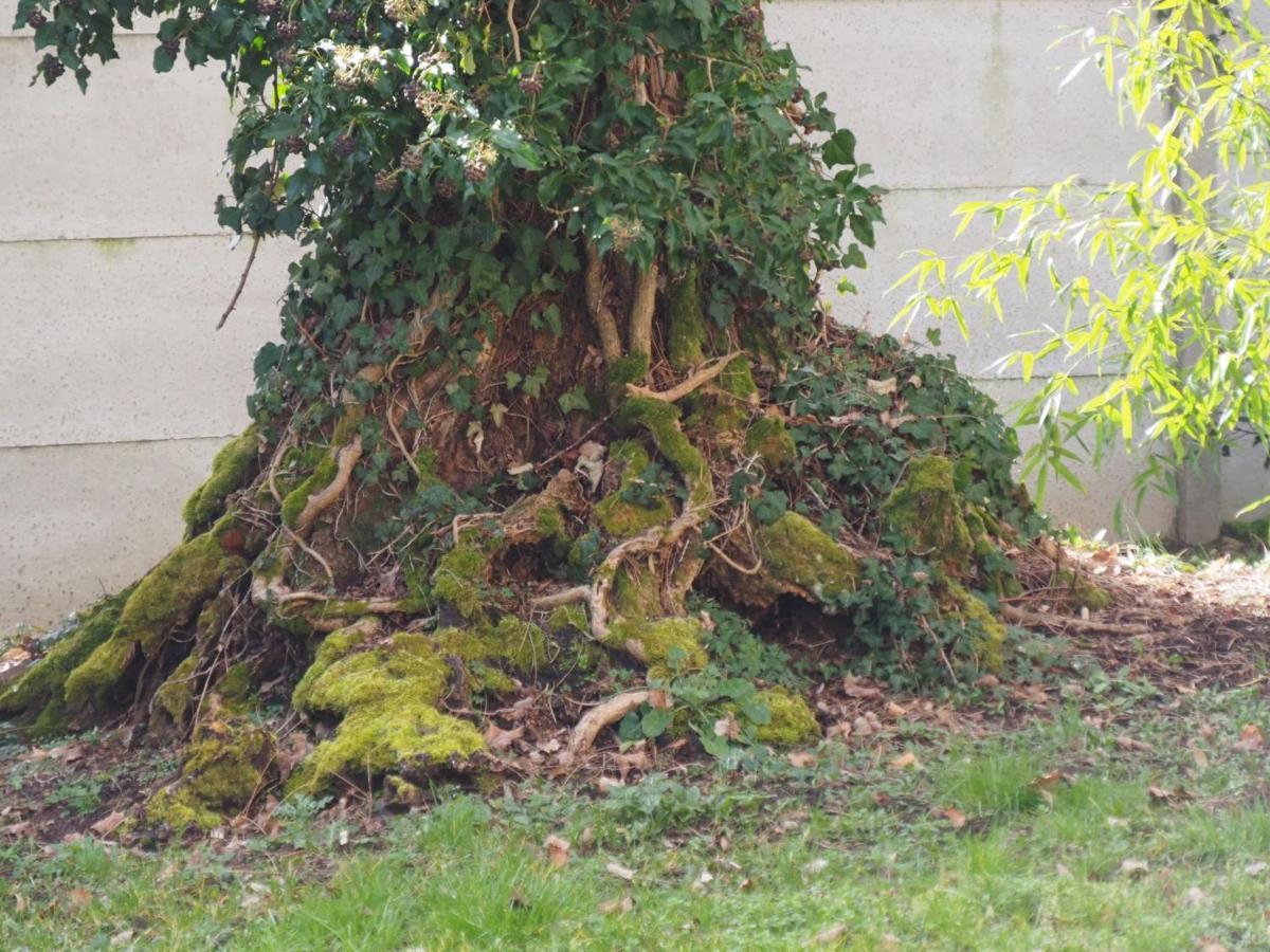 Chateau Segot Neuilly-le-Réal Dış mekan fotoğraf